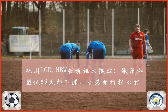 杭州LGD.NBW教练组大换血:张角加盟仅89天即下课,小落绝对核心打法适配还有解吗?