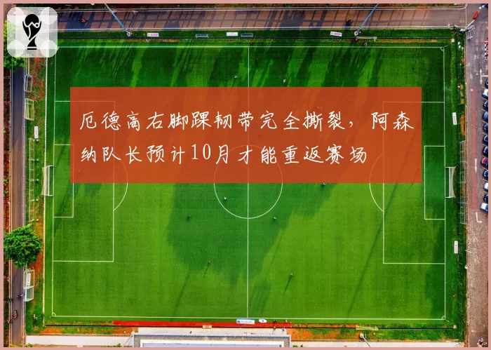 厄德高右脚踝韧带完全撕裂,阿森纳队长预计10月才能重返赛场