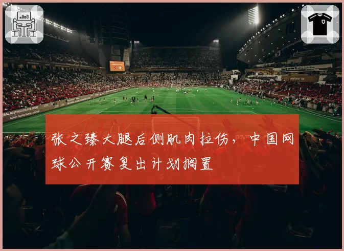 张之臻大腿后侧肌肉拉伤,中国网球公开赛复出计划搁置