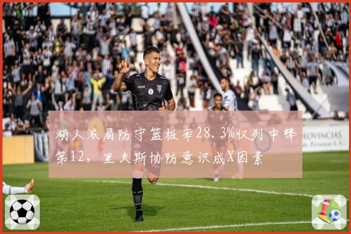 湖人浓眉防守篮板率28.3%仅列中锋第12,里夫斯协防意识成X因素