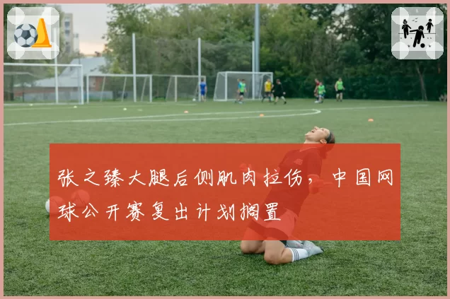 张之臻大腿后侧肌肉拉伤,中国网球公开赛复出计划搁置